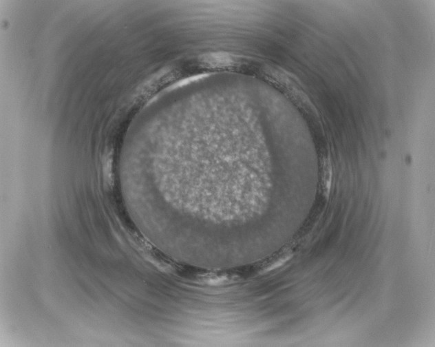 X0000085260267200704092122