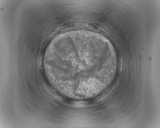 X0000085260268200704092122