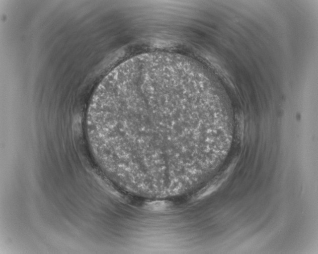 X0000085260269200704092122