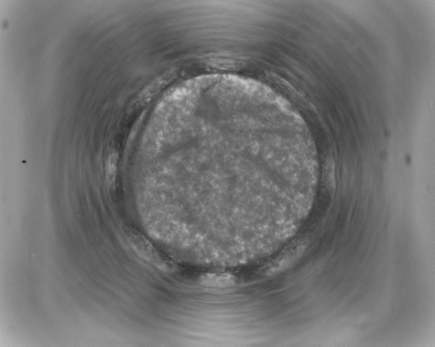 X0000085260271200704092122