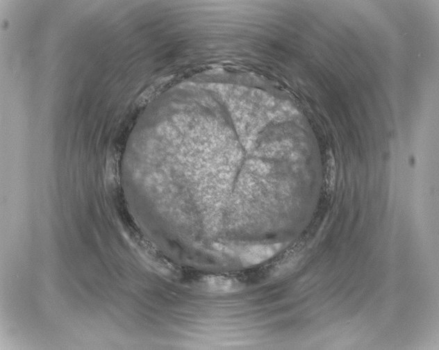 X0000085260272200704092122