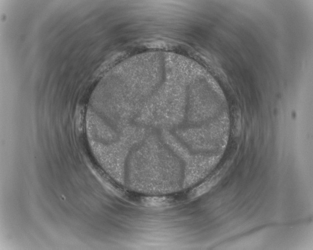 X0000085260273200704092122