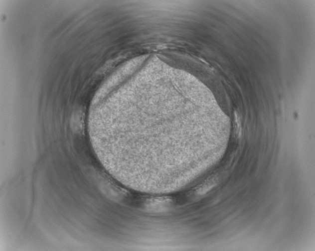 X0000085260274200704092122