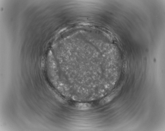 X0000085260277200704092122