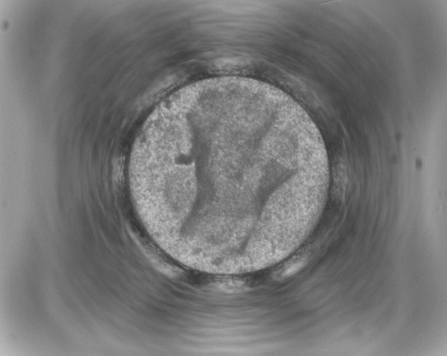 X0000085260278200704092122