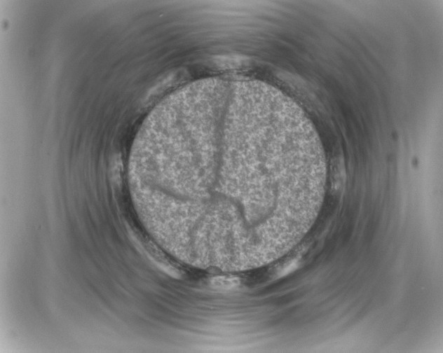 X0000085260279200704092122