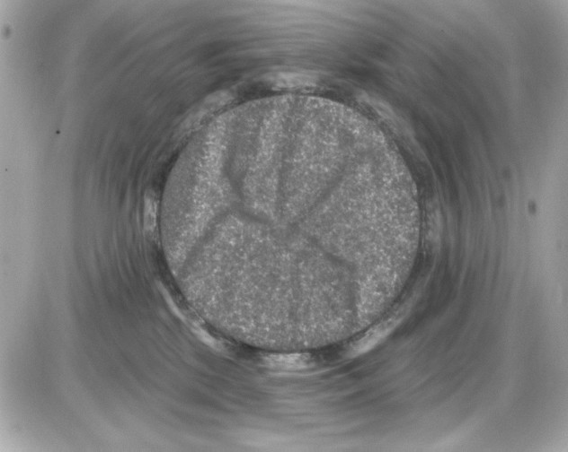 X0000085260281200704092122