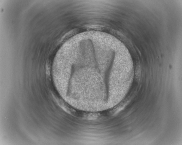 X0000085260282200704092122