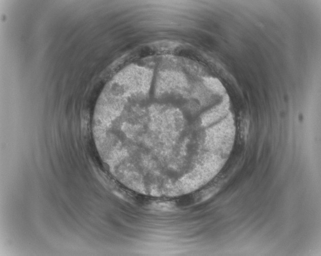 X0000085260283200704092122