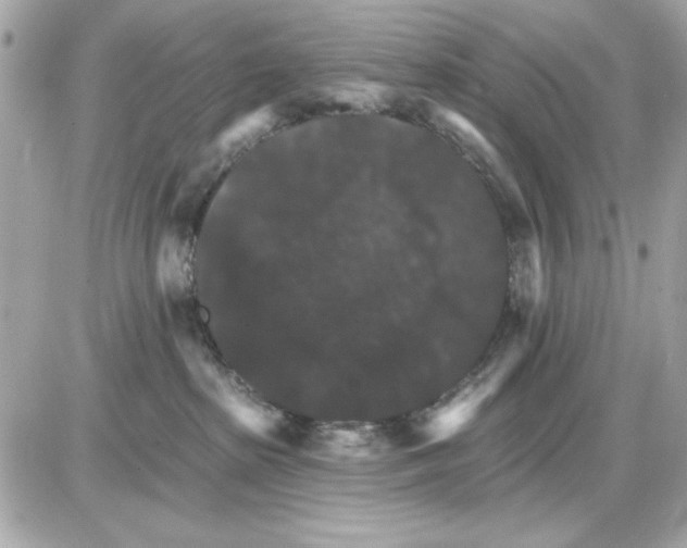 X0000085260285200704092122