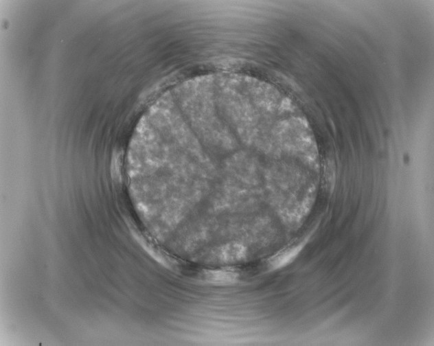 X0000085260286200704092122