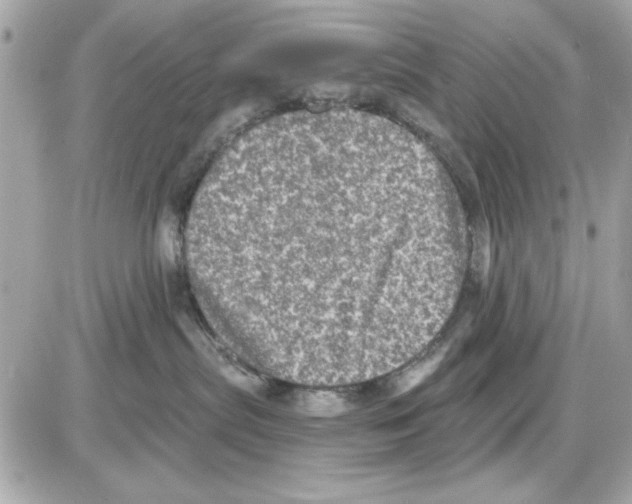 X0000085260287200704092122