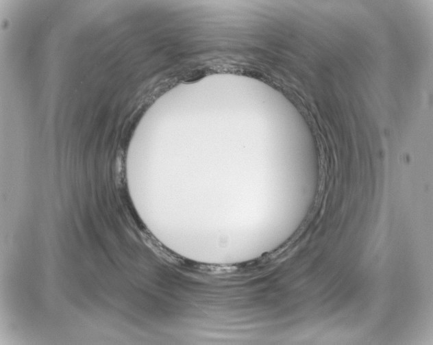 X0000085260288200704092122