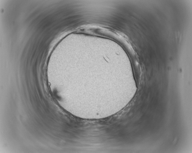 X0000085260289200704092121