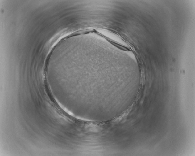 X0000085260290200704092121