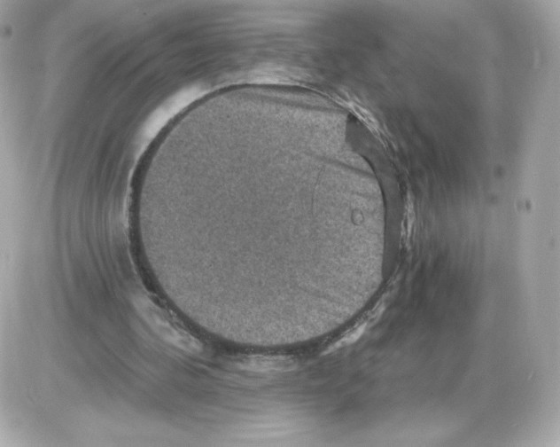 X0000085260292200704092121