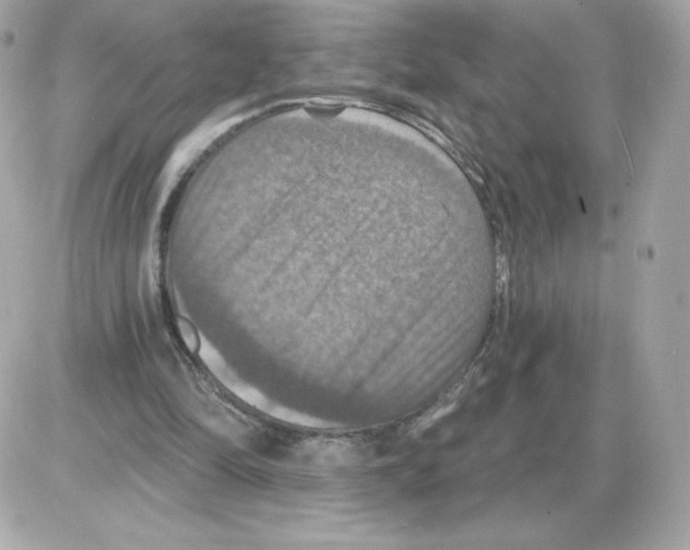 X0000085260294200704092121