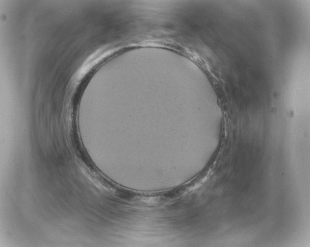 X0000085260295200704092121