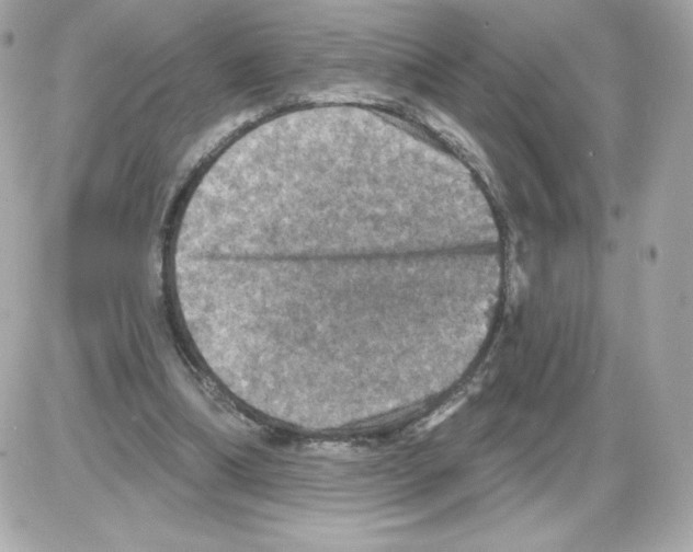 X0000085260298200704092121