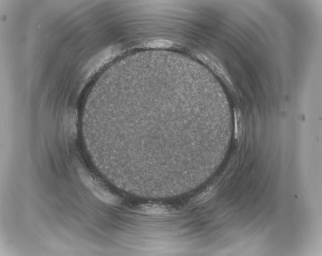 X0000085260300200704092121