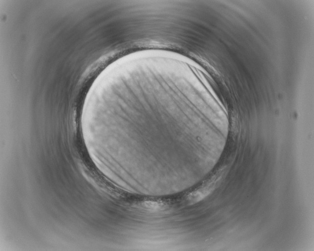 X0000085260302200704092121