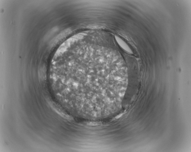 X0000085260303200704092121