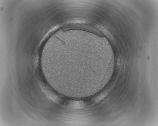 X0000085260304200704092121