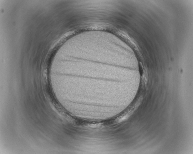 X0000085260306200704092121