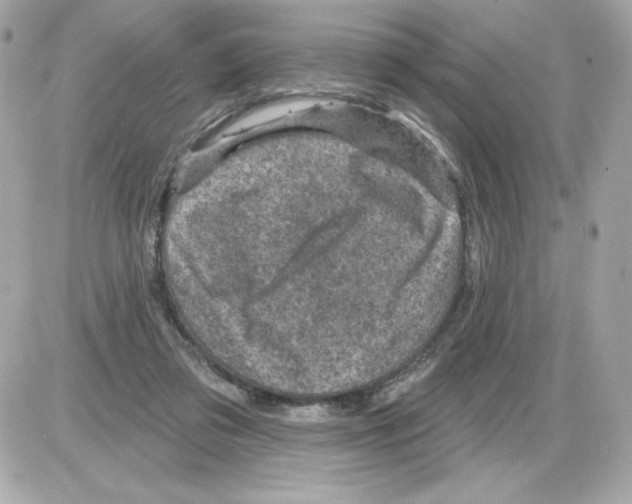 X0000085260309200704092121