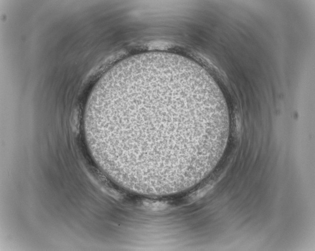 X0000085260311200704092121