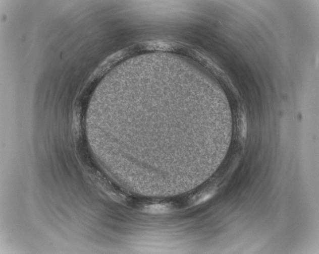 X0000085260312200704092121