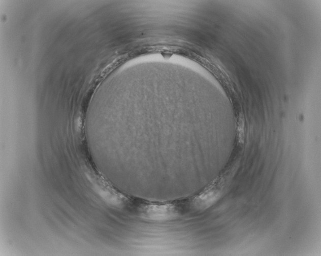 X0000085260314200704092121