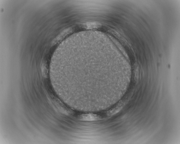 X0000085260316200704092121