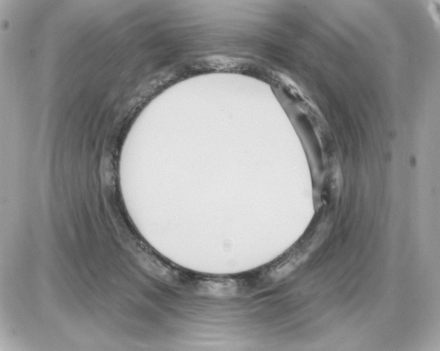 X0000085260317200704092121