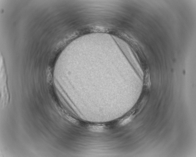 X0000085260318200704092121