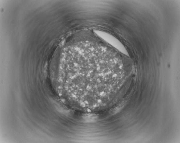 X0000085260319200704092121