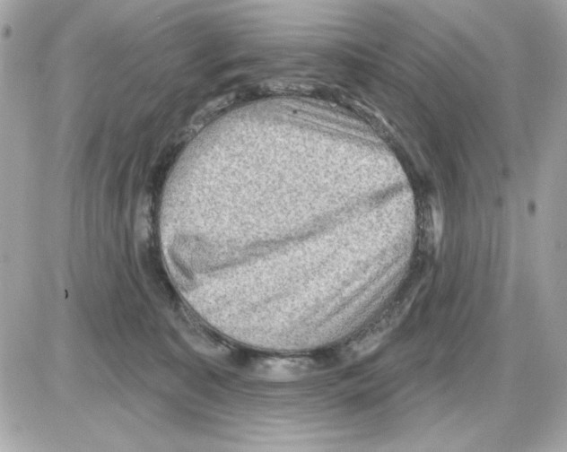 X0000085260323200704092121