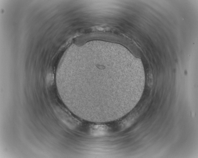 X0000085260324200704092121