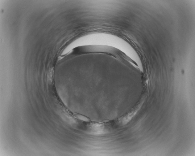 X0000085260325200704092121