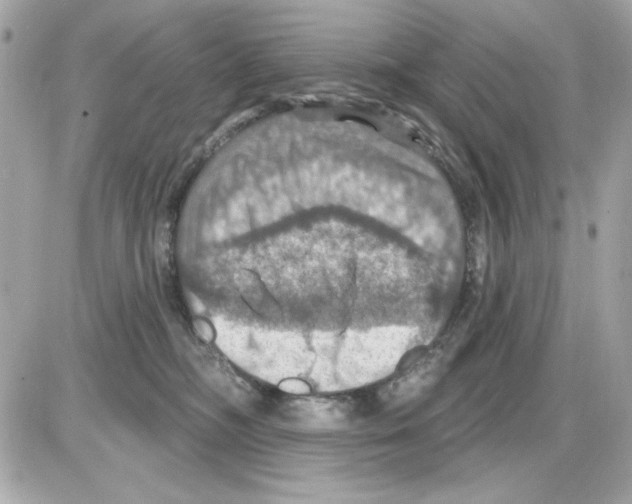 X0000085260326200704092121