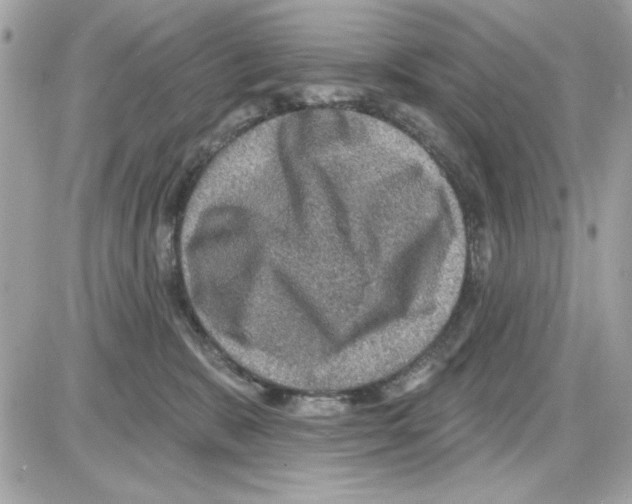 X0000085260327200704092121