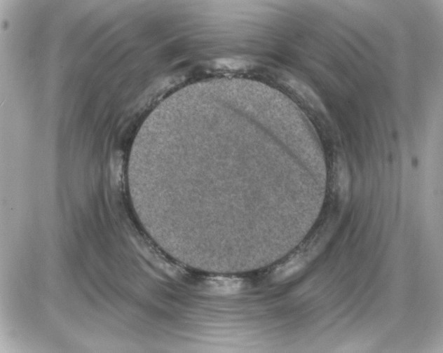 X0000085260328200704092121