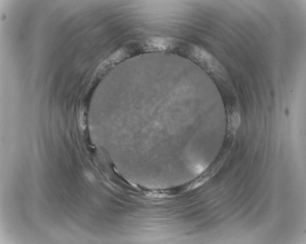 X0000085260331200704092121