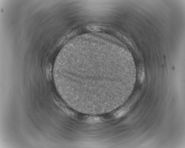 X0000085260332200704092121