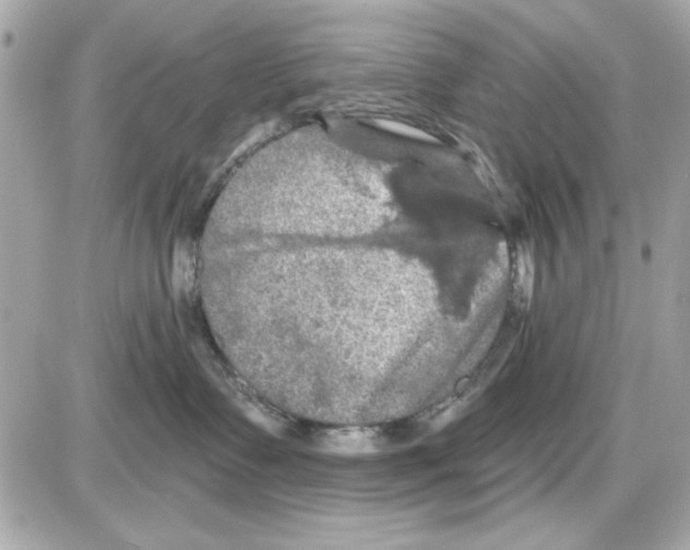 X0000085260335200704092121