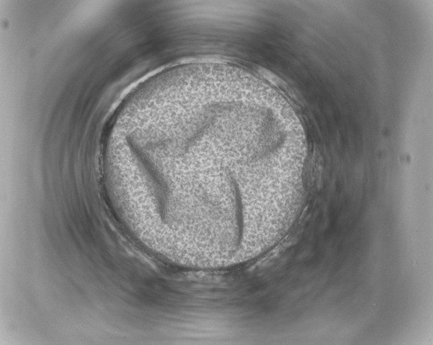 X0000085260338200704092120