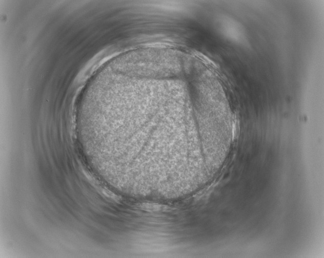 X0000085260339200704092120