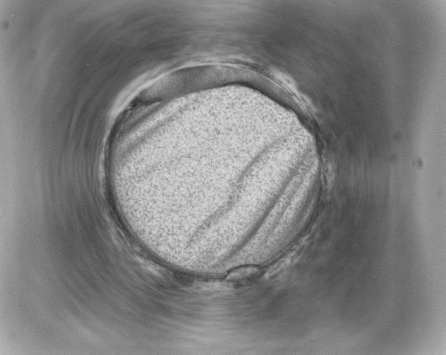 X0000085260340200704092120