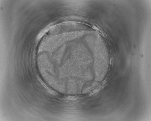 X0000085260341200704092120