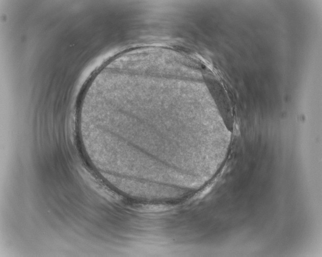 X0000085260342200704092120